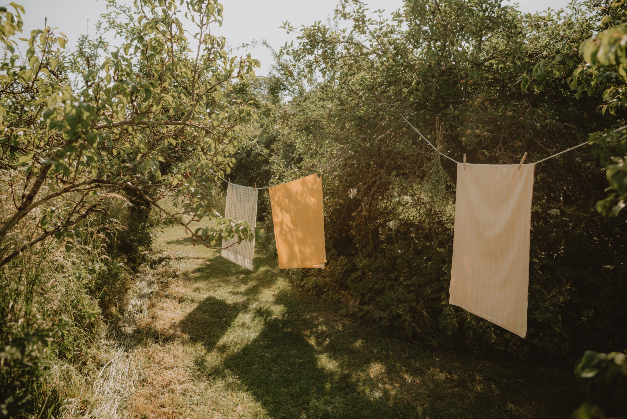 Launching with Story and Place: Megan Haigh finds her perfect orchard setting